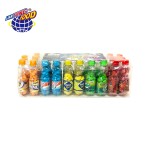 Bubble Gum Manufacturer - Fruity Chewing Sweets Bottle Toy