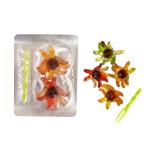 Octopus Gummy Manufacturer - Cartoon Shape Colorful Fruit