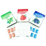 Chewing Gum Supplier - OEM Halal Xylitol Mint Fruit Flavor
