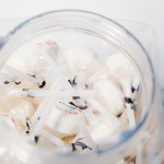 Ring Lollipop Factory - Hard Candy Sweets Wholesale