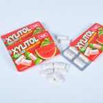 Xylitol Gum Supplier - Hot Selling Cool Mint Bulk