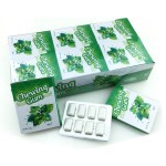 Chewing Gum Supplier - OEM Halal Xylitol Mint Fruit Flavor