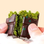 Pistachio Chocolate Manufacturer - Handmade Fix Flavor Candy