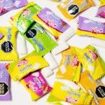 Bubble Gum Factory - Wholesale Bulk Xylitol Box