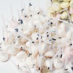 Ring Lollipop Factory - Hard Candy Sweets Wholesale