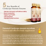 Performance Booster Supplier - Cordyceps Sinensis Support Wellness