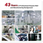 Enzyme Supplement Manufacturer - High Activity Health Care Raw Material