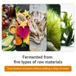 Enzyme Supplement Manufacturer - High Activity Health Care Raw Material