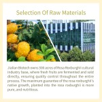 Rose Extract Manufacturer - OEM Private Label Low Calorie Healthcare