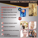 Fermented Maca Liquid Factory - Taiwan Enzyme OEM Private Label