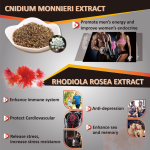 Fermented Maca Liquid Factory - Taiwan Enzyme OEM Private Label