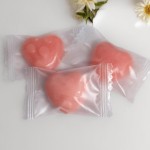 Gummy Candies Supplier - OEM Secret Formula Plant Extract