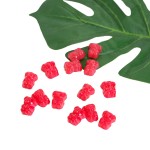 Energy Gummies Factory - OEM Watermelon Flavor Enhancement