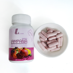 Dietary Supplement Factory - Customizable Capsules Herbal Supplements