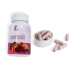 Dietary Supplement Factory - Customizable Capsules Herbal Supplements