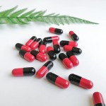 Epimedium Capsules Supplier - OEM Natural Plant Energy Support