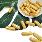Herbal Supplement Manufacturer - Fat Burner Garcinia Cambogia Capsules OEM