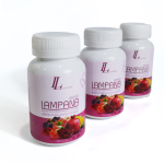 Dietary Supplement Factory - Customizable Capsules Herbal Supplements