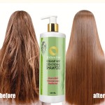 Rosemary Shampoo Supplier - OEM Private Brand High Quality