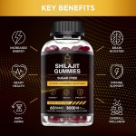 Shilajit Gummies Manufacturer - Healthy Living Himalaya Pure