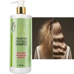Rosemary Shampoo Supplier - OEM Private Brand High Quality