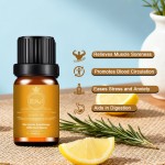 Whitening Essential Oil Supplier - 2024 Hot Selling Vitamin C