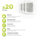 Beauty Tea Supplier - Private Label Herbal Flower Ginger