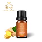 Ginger Essential Oil Supplier - Best Price Private Oil Massage
