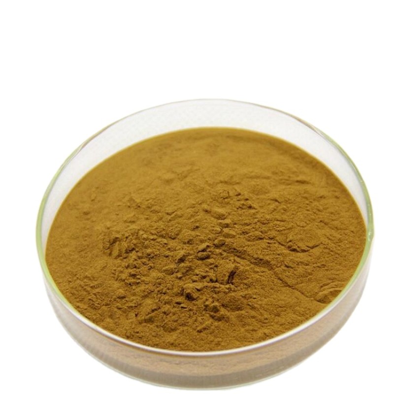 Graviola Extract Supplier - 100% Herbal Leaf Extract Powder