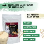 Black Maca Powder Supplier - Root Extract for Butt Enlargement