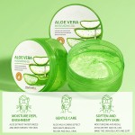 Aloe Vera Gel Supplier - Best Herbal Bulk Natural Body Cream