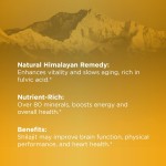 Shilajit Gummies Manufacturer - Healthy Living Himalaya Pure