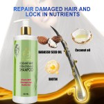 Rosemary Shampoo Supplier - OEM Private Brand High Quality