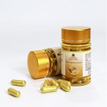 Herbal Capsules Supplier - New Product 2025 Natural Supplement 30 Caps