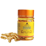 Ginseng Capsules Manufacturer - 2025 Healthife Panax Extract 500mg