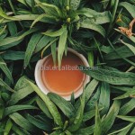 Quality China  Green Tea for Drink