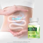 Weight Loss Capsules Manufacturer - OEM Aloe Vera Fat Burning