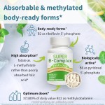 Vitamin B Complex Factory - Good Quality Super B with Folic Acid