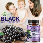 Elderberry Capsules Factory - OEM 500mg Immune System Antioxidant