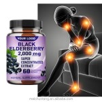 Elderberry Capsules Factory - OEM 500mg Immune System Antioxidant