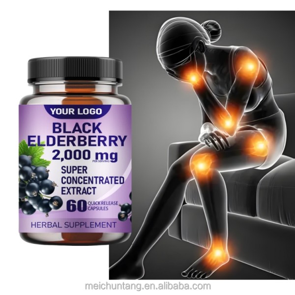 Elderberry Capsules Factory - OEM 500mg Immune System Antioxidant