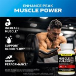 Nitric Oxide Supplements Supplier - Muscle Builder Gain Support