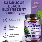 Elderberry Capsules Factory - OEM 500mg Immune System Antioxidant