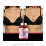 Breast Enhancement Supplements Manufacturer - Customized OEM Natural