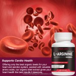 L-Arginine Capsules Factory - OEM Sport Supplements 500/1000 mg
