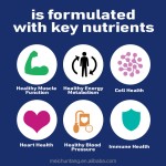 Men's Multivitamin Supplier - OEM Private Label Halal One-a-Day