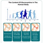Joint Health Tablets Supplier - Private Label Bovine Colostrum Calcium