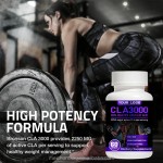 CLA Capsules Factory - OEM ODM 3000 High Potency Weight Management
