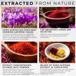 Saffron Capsules Factory - Herbal Supplements 95% Crocin Extract
