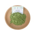 Kale Extract Powder Manufacturer - OEM Green Powder Pure Natural
